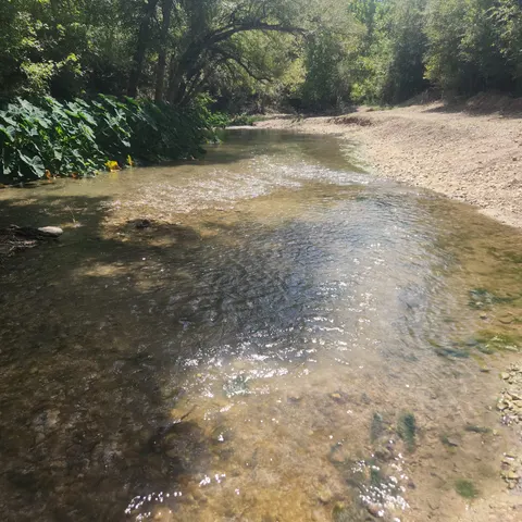Shallow Cibolo Creek beside a wooded bank