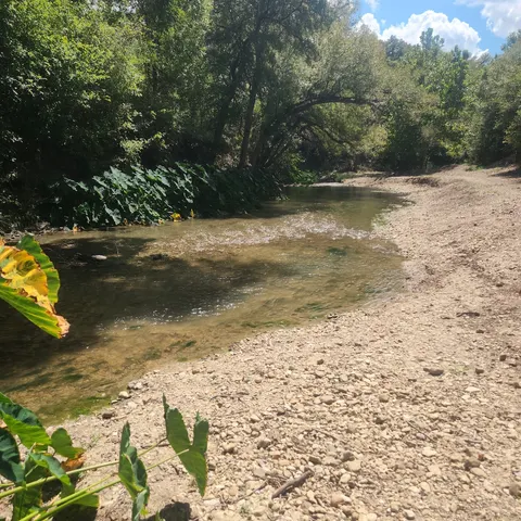 Shallow creek and rocky bank beneath the trees at Creekside