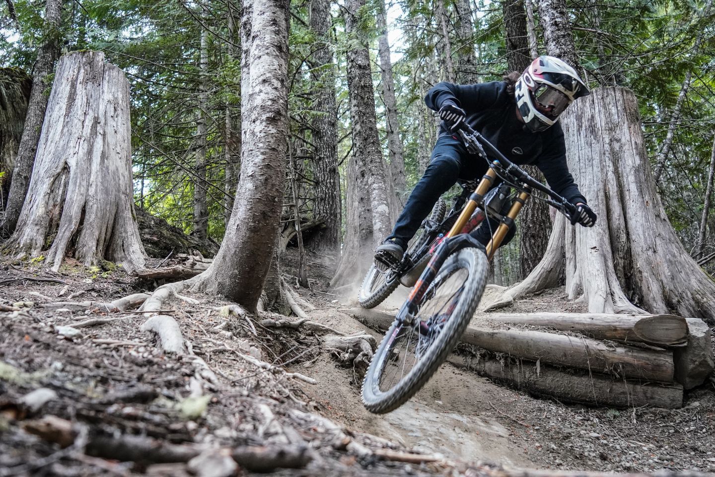 A mountain biker riding a wooded dirt trail