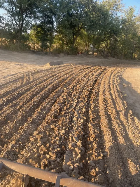 Parallel grooming lines curving through sunlit dirt beside the trees at Creekside MX
